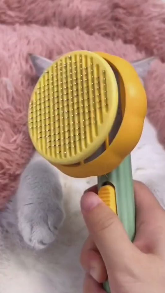 Peine Removedor Pelo Gato Redondo